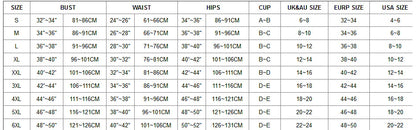 Chic Sheer Mesh Bikini Set